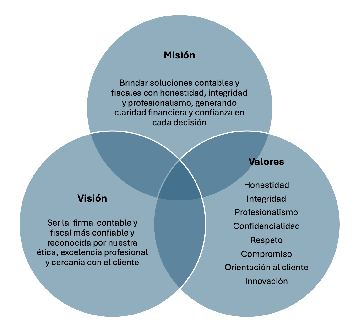final mision, vision, valores